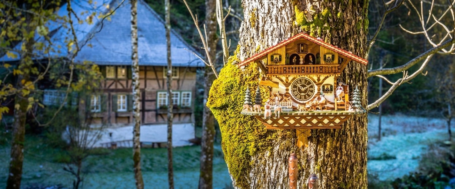 Saatinizle ilgili
bir sorun mu var?
